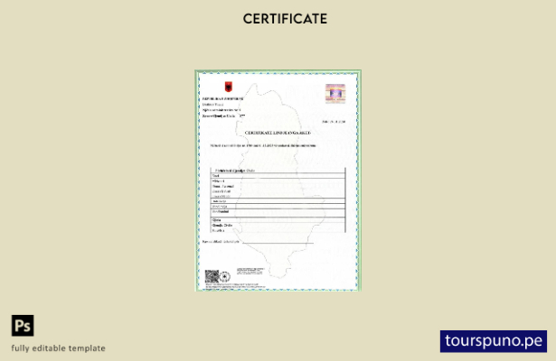 listo para imprimir plantilla de certificado de nacimiento de la división admini